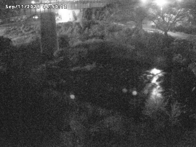 日野川１０2026/09/11 8:10:00