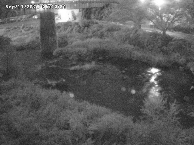 日野川１０2026/09/11 8:10:00