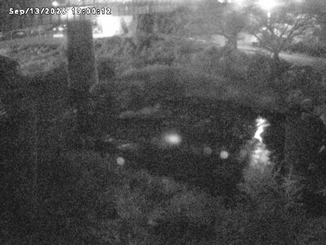日野川１０2026/09/14 8:00:00