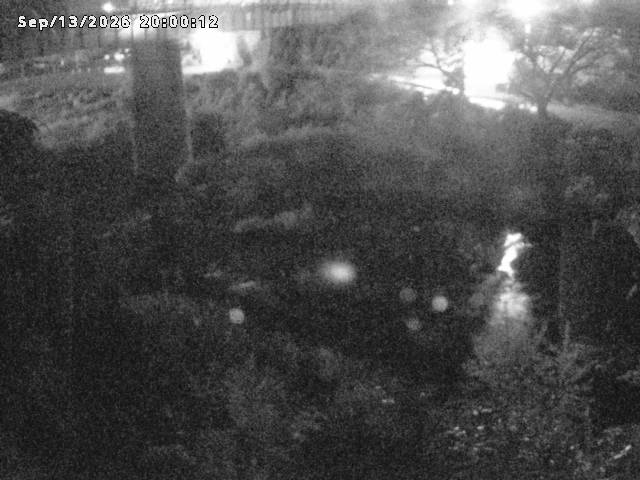 日野川１０2026/09/14 8:00:00