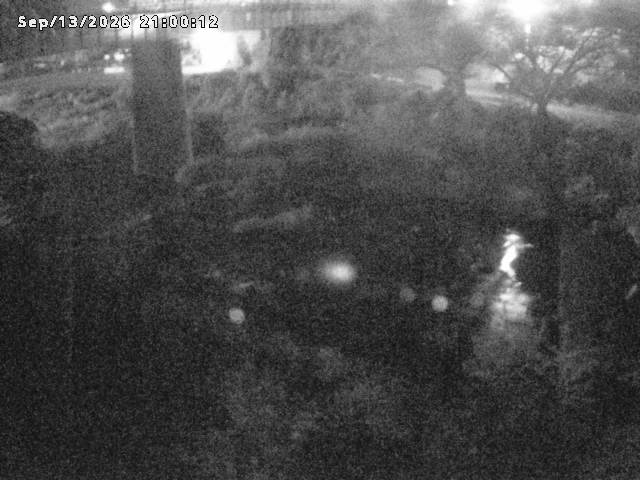 日野川１０2026/09/14 8:00:00