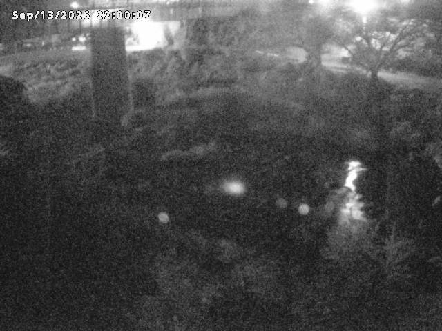日野川１０2026/09/14 8:00:00