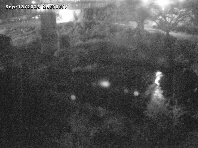 日野川１０2026/09/14 8:00:00