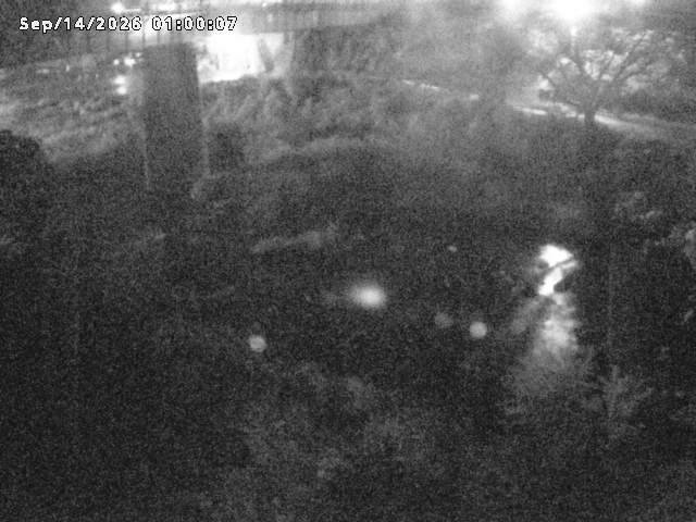 日野川１０2026/09/14 8:00:00