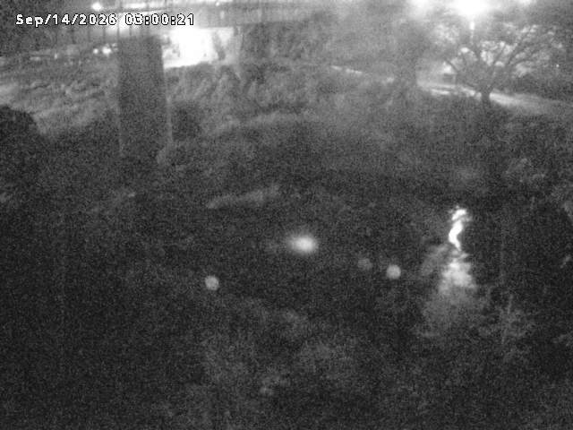日野川１０2026/09/14 8:00:00