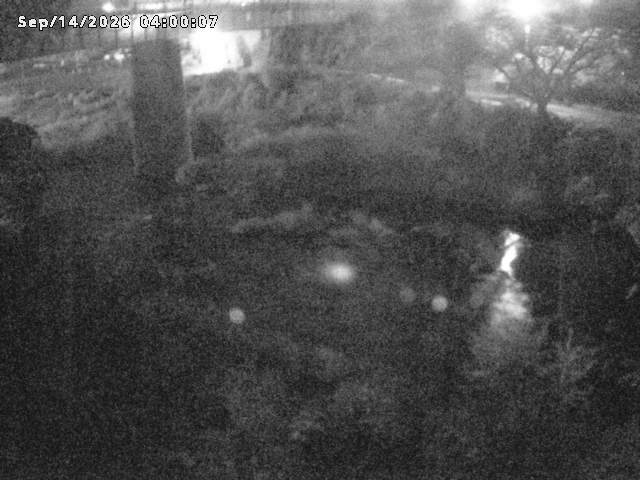 日野川１０2026/09/14 8:00:00
