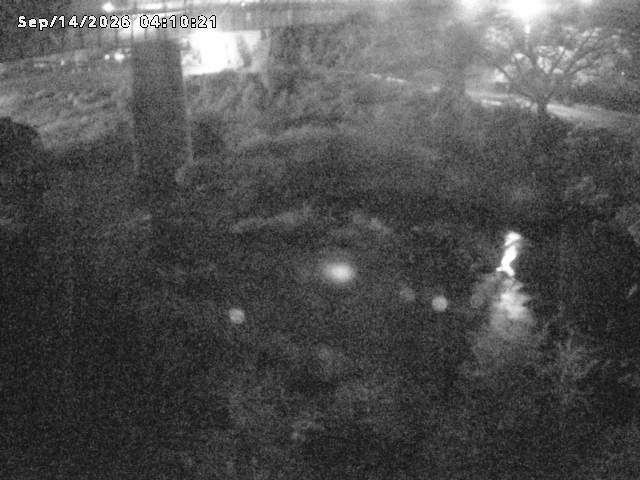 日野川１０2026/09/14 8:00:00
