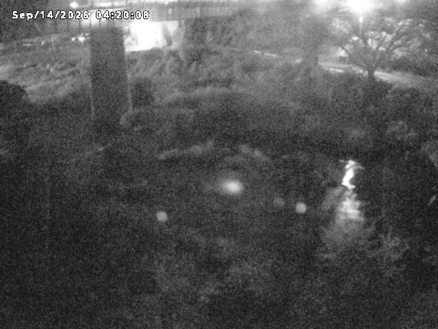 日野川１０2026/09/14 8:00:00