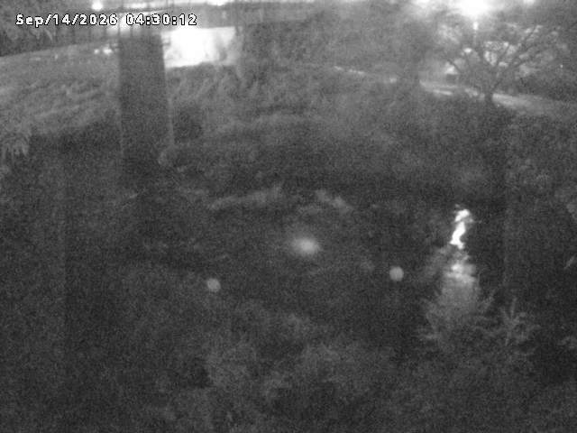 日野川１０2026/09/14 8:00:00
