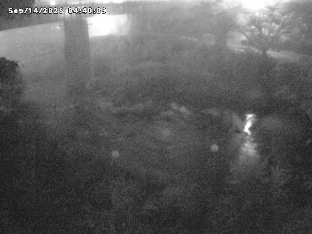 日野川１０2026/09/14 8:00:00