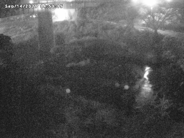 日野川１０2026/09/14 8:00:00