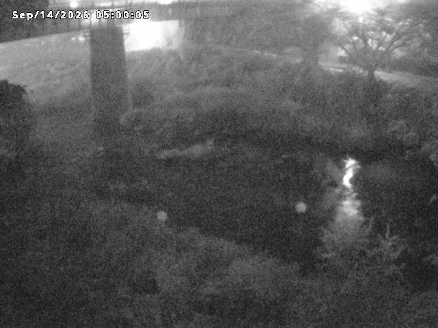 日野川１０2026/09/14 8:00:00