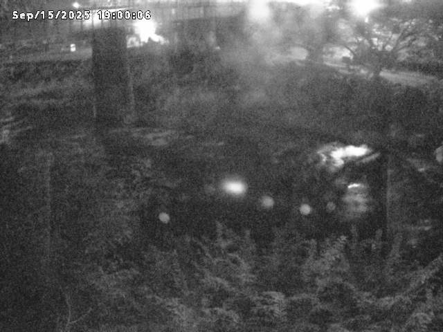 日野川１０2025/09/16 7:00:00