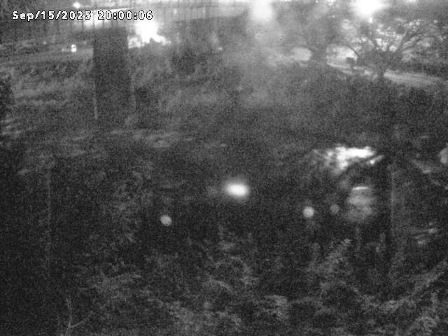 日野川１０2025/09/16 7:00:00