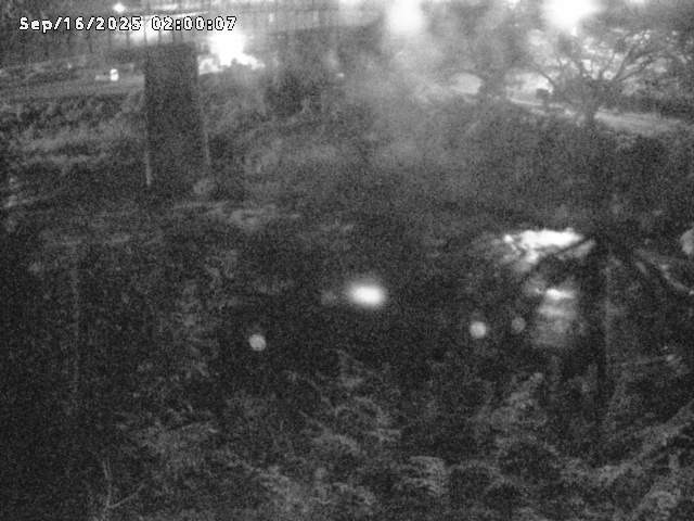 日野川１０2025/09/16 7:00:00