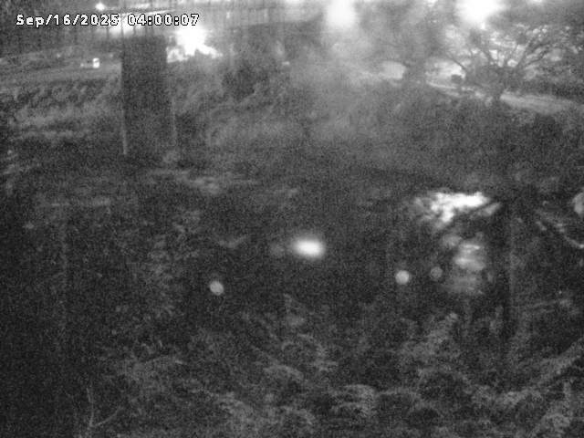 日野川１０2025/09/16 7:00:00