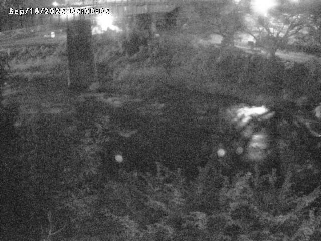 日野川１０2025/09/16 7:00:00