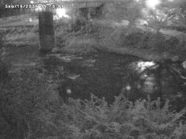 日野川１０2025/09/16 7:00:00