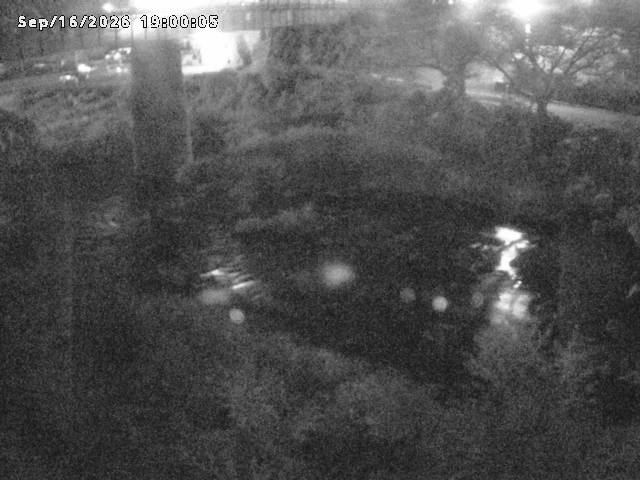 日野川１０2026/09/17 10:00:00