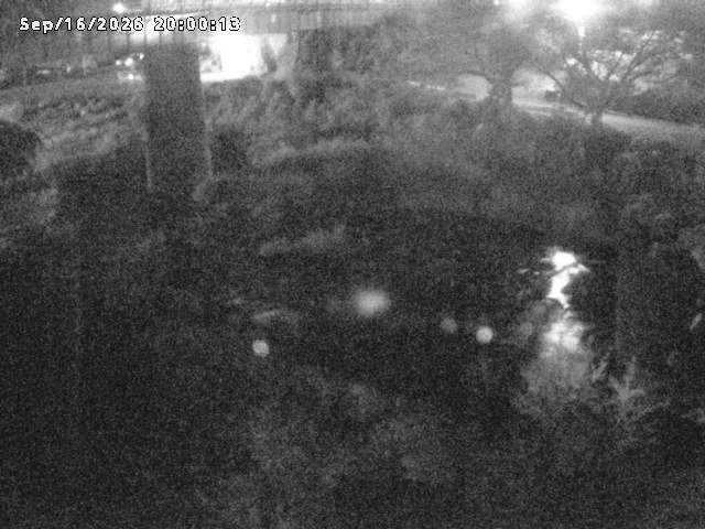 日野川１０2026/09/17 10:00:00