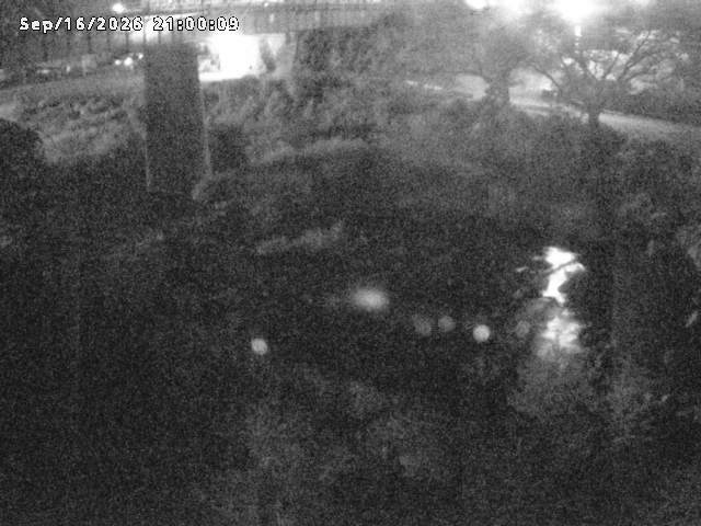 日野川１０2026/09/17 10:00:00