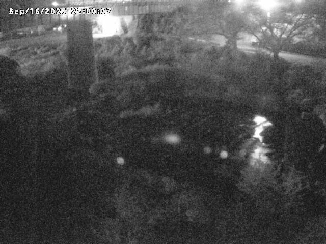 日野川１０2026/09/17 10:00:00