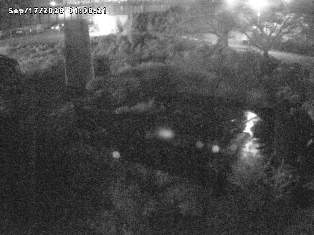 日野川１０2026/09/17 10:00:00