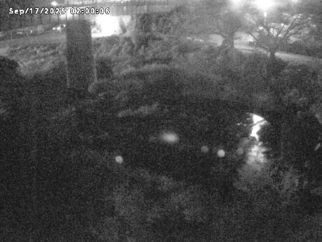日野川１０2026/09/17 10:00:00