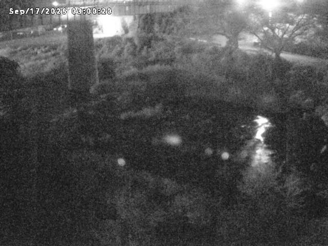 日野川１０2026/09/17 10:00:00