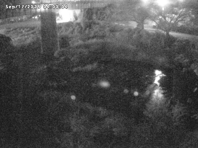 日野川１０2026/09/17 10:00:00