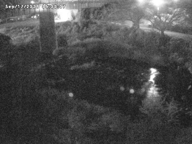 日野川１０2026/09/17 10:00:00