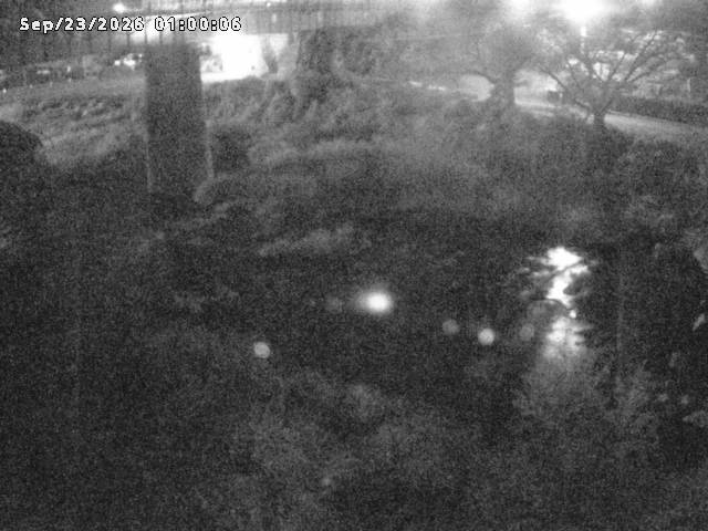 日野川１０2026/09/23 14:00:00