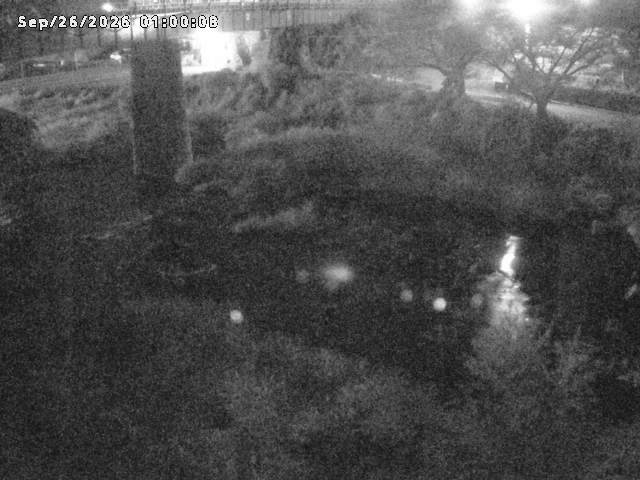 日野川１０2026/09/26 14:20:00