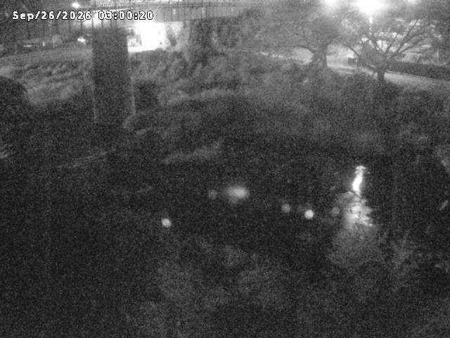 日野川１０2026/09/26 14:20:00