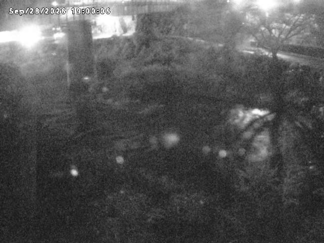日野川１０2026/09/29 15:20:00