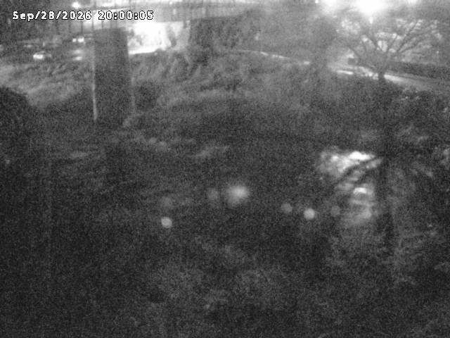 日野川１０2026/09/29 15:20:00