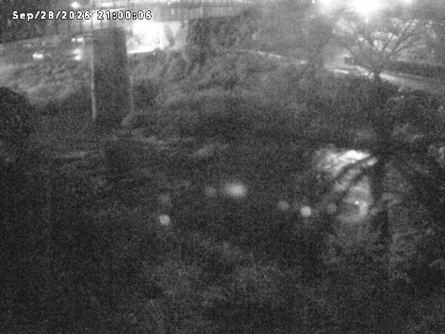 日野川１０2026/09/29 15:20:00