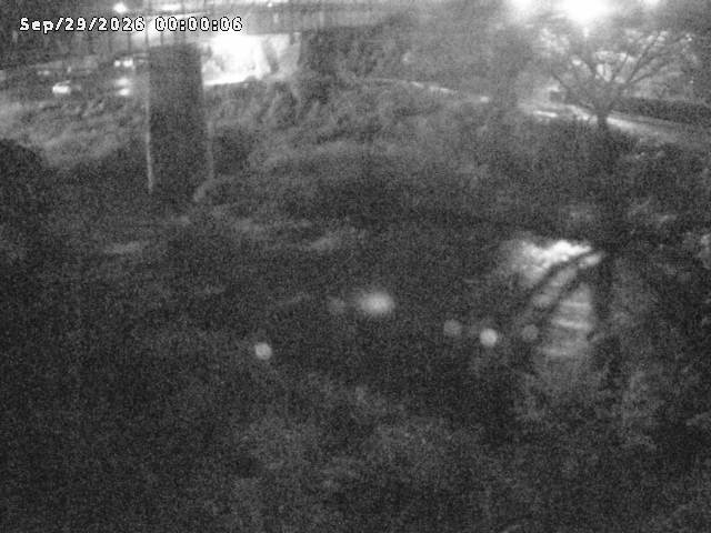 日野川１０2026/09/29 15:20:00