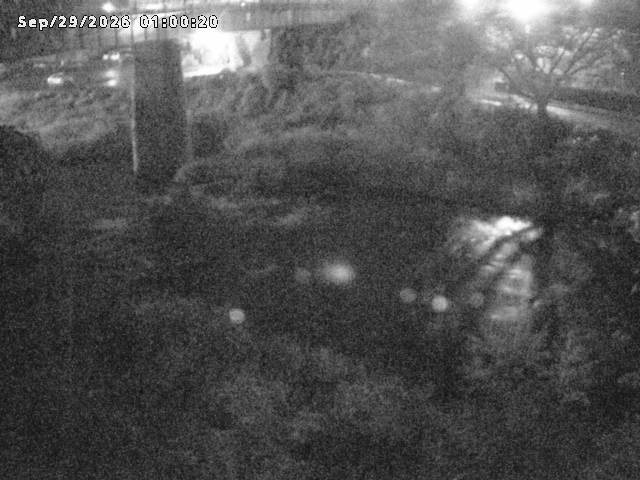日野川１０2026/09/29 15:20:00