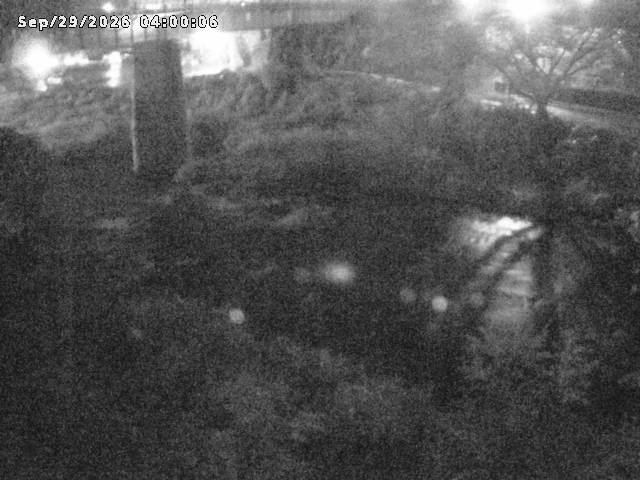 日野川１０2026/09/29 15:20:00