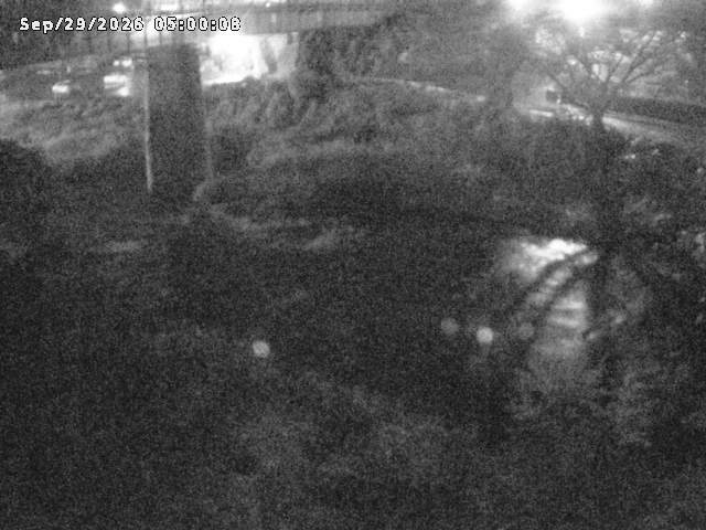 日野川１０2026/09/29 15:20:00