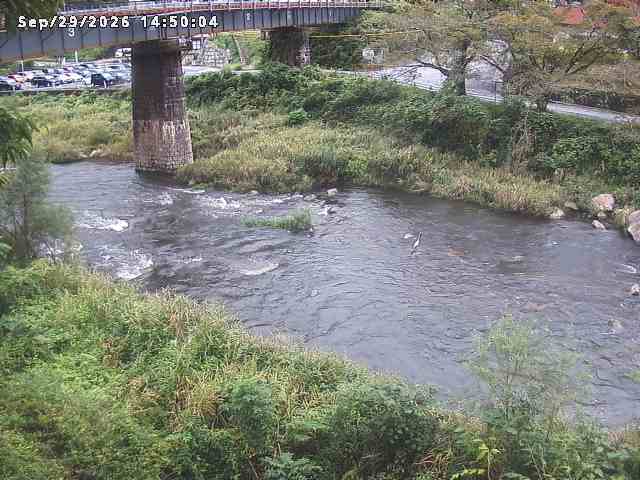 日野川１０2026/09/29 15:20:00