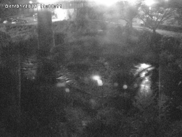 日野川１０2026/10/02 15:50:00