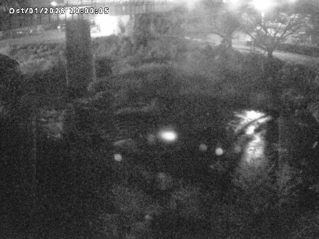 日野川１０2026/10/02 15:50:00