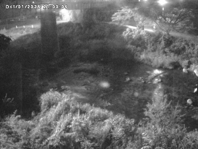 日野川１０2026/10/02 15:50:00