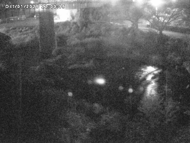 日野川１０2026/10/02 15:50:00