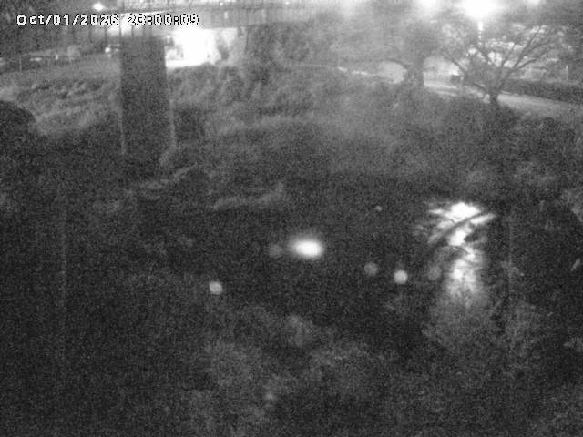 日野川１０2026/10/02 15:50:00