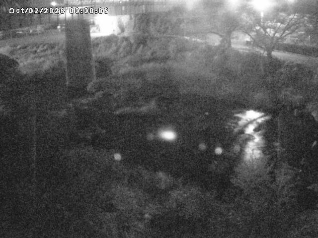 日野川１０2026/10/02 15:50:00