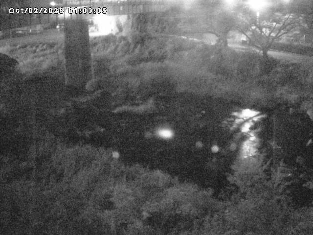 日野川１０2026/10/02 15:50:00