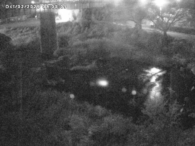 日野川１０2026/10/02 15:50:00